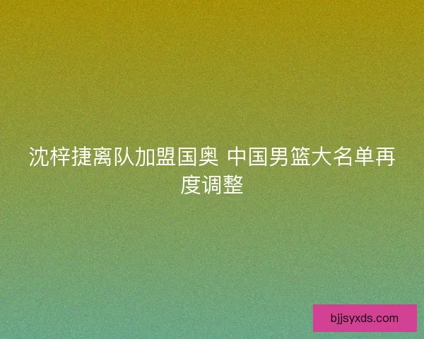 沈梓捷离队加盟国奥 中国男篮大名单再度调整