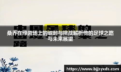 桑乔在绿茵场上的崛起与挑战解析他的足球之路与未来展望